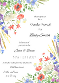 Gender Reveal